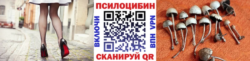 Псилоцибиновые грибы мицелий  цена наркотик  Новотроицк 